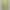 Parka 6417 3 Schichten
