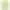 GANT SAFETY FASTFIT YELLOW