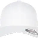 Flexfit Organic Cotton Cap - Image 38