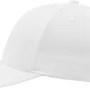 Classic Curved Snapback Cap - Image 66