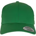 Classic Curved Snapback Cap - Image 17