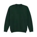 Heavy Blend™ Crew Neck Sweatshirt - Image 5
