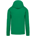 Sweatshirt mit kontrastierender Kapuze - Bild 37