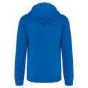 Sweatshirt mit kontrastierender Kapuze - Bild 29