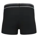 Boxer - Image 8