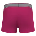 Boxer - Image 11
