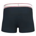 Boxer - Image 20