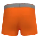 Boxer - Image 23