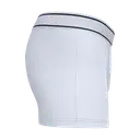 Boxer - Image 36