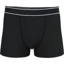 Boxer - Image 7