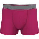 Boxer - Image 10