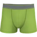 Boxer - Image 13