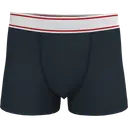 Boxer - Image 19