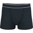 Boxer - Image 16