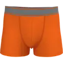 Boxer - Image 22