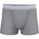 Boxer - Image 25