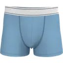 Boxer - Image 28