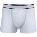 Boxer - Image 34