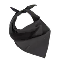 Fiesta - Bandana - Image 7