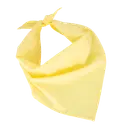 Fiesta - Bandana - Image 9