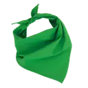 Fiesta - Bandana - Image 12
