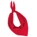 Fiesta - Bandana - Image 19