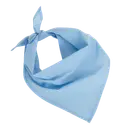 Fiesta - Bandana - Image 21
