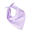Fiesta - Bandana - Image 26