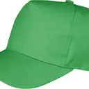 Boston Pet - Afbeelding 2