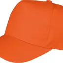 Boston Pet - Afbeelding 12