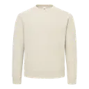 Crew Neck Cotton Sweatshirt - Image 12