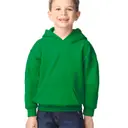 Heavy Blend™ Kapuzenpullover - Bild 1