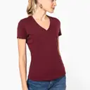 BIO150 IC V-Neck T-Shirt - Image 1