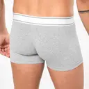 Boxer - Image 3