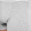 Boxer - Image 4