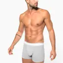 Boxer - Image 1