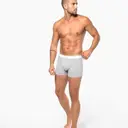 Boxer - Image 5