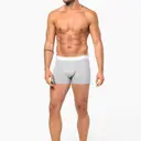 Boxer - Image 6