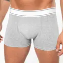 Boxer - Image 2