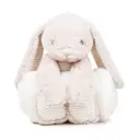 Bunny Plush & Blanket - Image 2