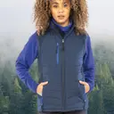 Recycled padded softshell gilet black compass - Image 5