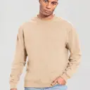 Sweatshirt Iconic 250 - Bild 1