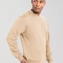 Sweatshirt Iconic 250 - Bild 3