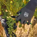 Gants tactiles de protection contre les coupures - Image 5