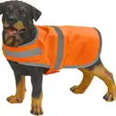 Gilet réfléchissant pour chien - Image 1