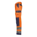 DASSY® Buffalo - Image 2