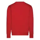 DASSY® FIBRE - Afbeelding 18
