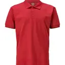 Polo - Image 3