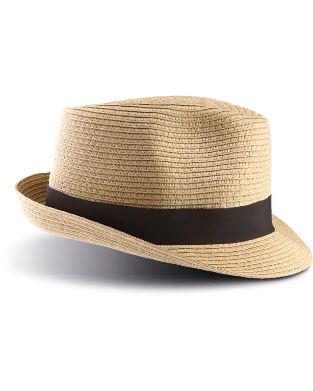 Panama Hoed