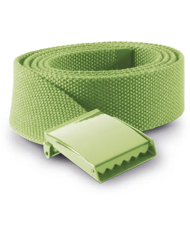 Polyester riem